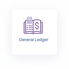 Double Entry Accounting System