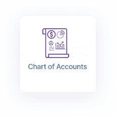 Double Entry Accounting Software