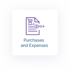 Financial Reporting Software Purchase and Expense