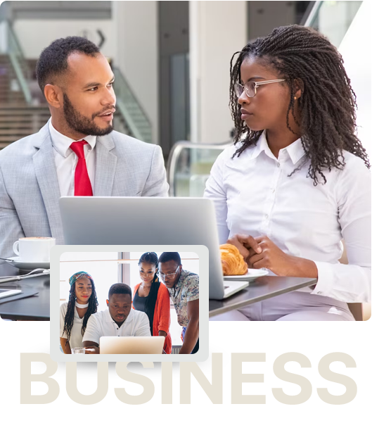 Large business accounting software